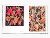 Lee Krasner: Living Colour / 李·克拉斯纳：鲜活的色彩 商品缩略图3