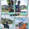 佳钓尼新魂休闲综合竿超轻超硬手杆鲫鱼竿野钓台钓手竿钓鱼竿 商品缩略图3