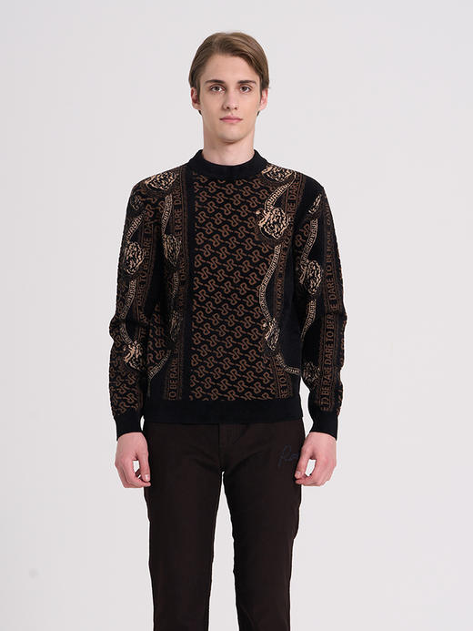 威雅/RARE 黑咖提花雪尼尔圆领毛衣男士长袖毛衫 商品图0