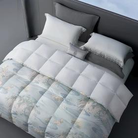 whinny/惠谊波兰进口绒95%绒繁花蓬松保暖鹅绒春秋被冬被羽绒被