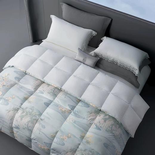 whinny/惠谊波兰进口绒95%绒繁花蓬松保暖鹅绒春秋被冬被羽绒被 商品图0