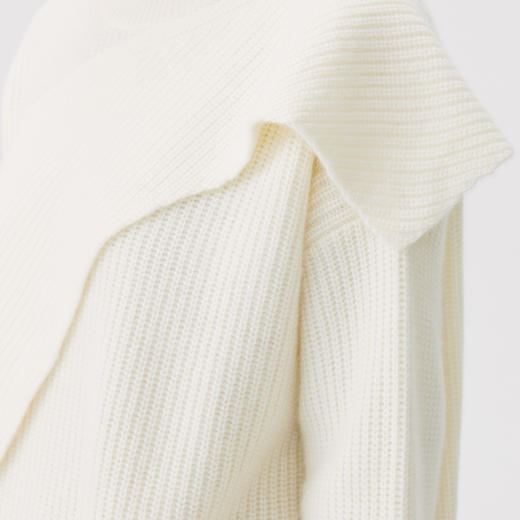 东黎 • 小山羊绒女士秋冬高领外穿套头衫 4660 商品图10