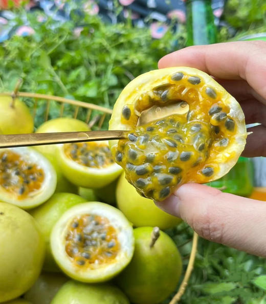 VC炸弹 百香果界天花板！【酸甜好味 可以直接吃的百香果】海南钦蜜9号黄金百香果5斤装  顺丰/京东随机发货 商品图2