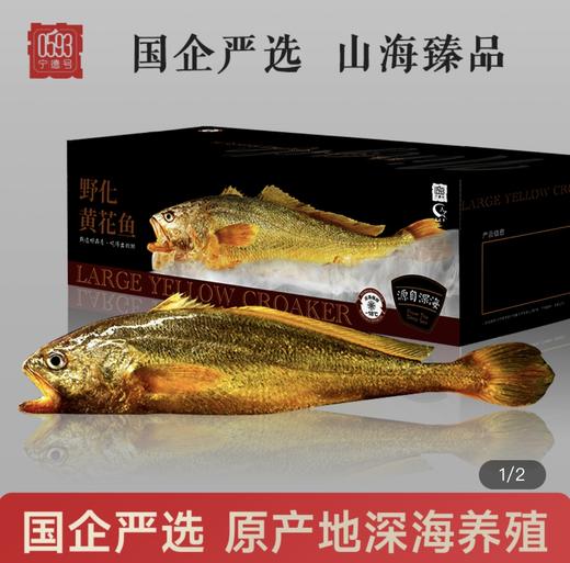 【实物礼盒提货卡】0593深海野化黄花鱼礼盒提货卡900g-1000g条(2条) 商品图0