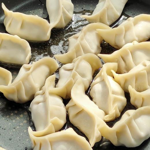 阿林餐厅纯手工韭菜猪肉/韭菜鸡蛋/杭白菜猪肉水饺 自由组合3盒 商品图4