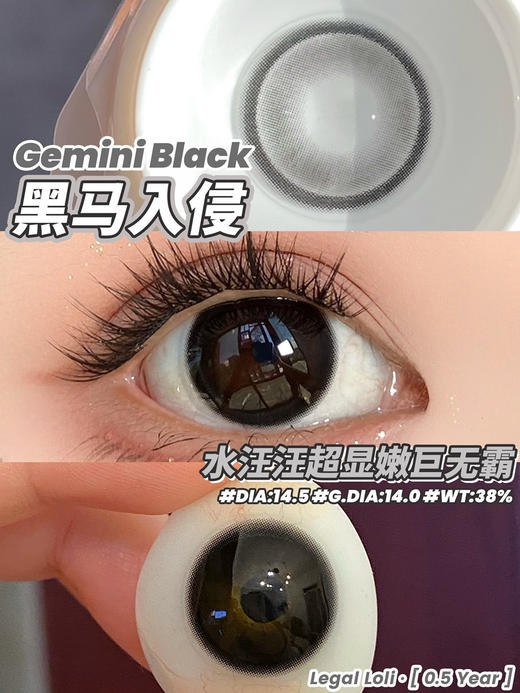 半年抛 LEGAL LOLI 黑马入侵 14.5   大黑 商品图1