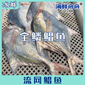 流网鲳鱼