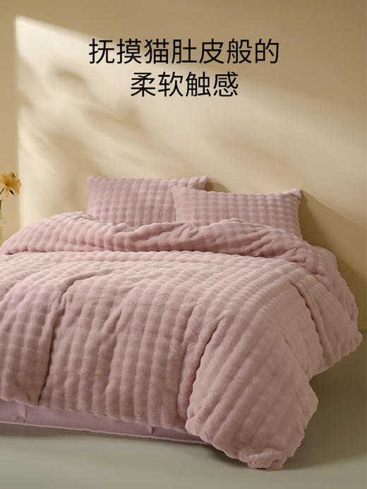 佳丽斯獭兔毛绒四件套牛奶绒加厚2024新款 商品图2