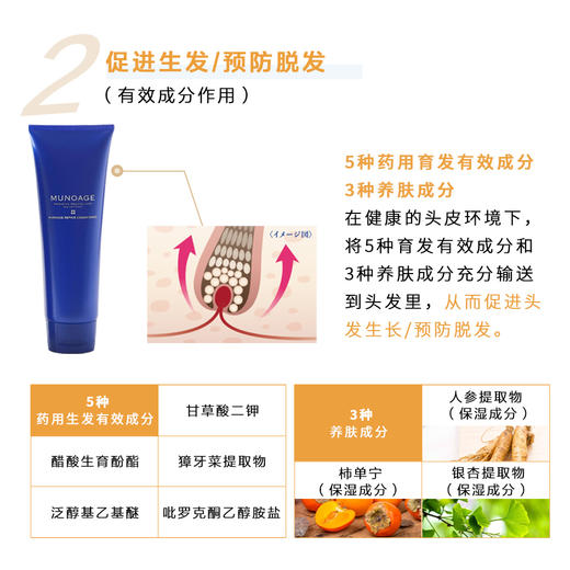 防脱育发｜No Age生发液+洗发水+护发素 日本进口 MUNOAGE防脱生发液 丰盈秀发弹性强韧 粗壮 无添加剂 商品图2