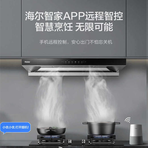 Haier/海尔 CXW-358-E900T32U1 油烟机 商品图11