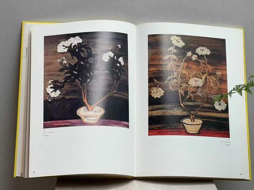 《常玉画集》，常玉绘画，8开,精装，带函套，132页，全彩精印，历史博物馆1995年10月初版。售价480元。 商品图13