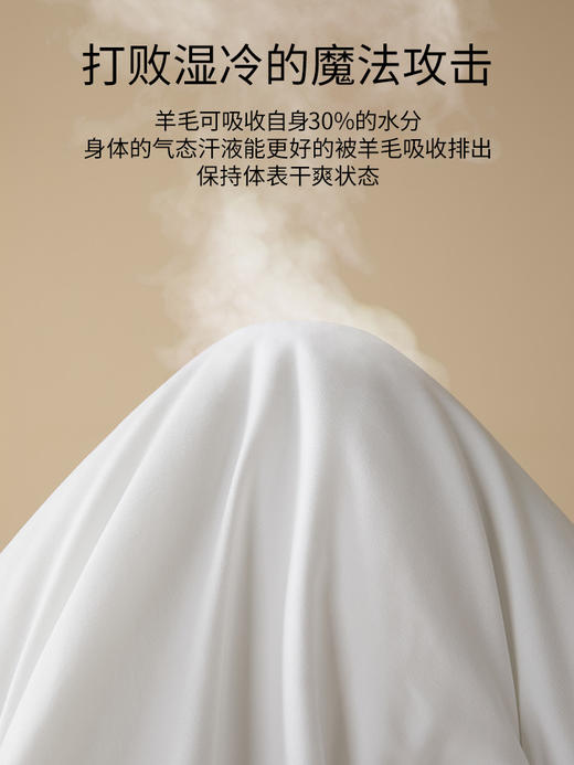 佳丽斯羊毛被子冬被加厚澳洲天然冬季柔软家用10斤棉被秋冬款过冬 商品图4