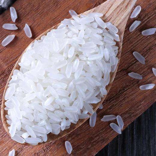 稻花香大米5斤 商品图0