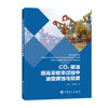 CO2驱油提高采收率过程中油管腐蚀与防腐 商品缩略图0