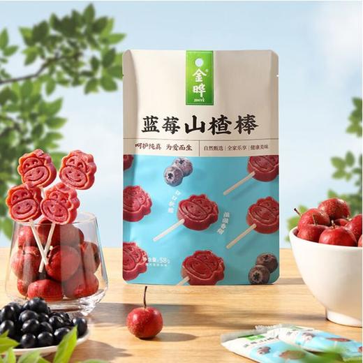 金晔 蓝莓山楂棒 108g/袋 商品图2