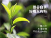 云南 景谷白茶 65g/罐 秧塔古茶山母树级古树白茶 商品缩略图5