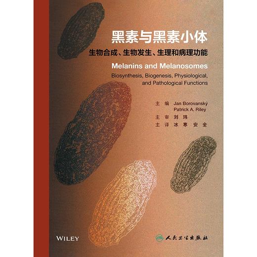 黑素与黑素小体 ：生物合成、生物发生、生理和病理功能 2024年10月参考书 商品图1