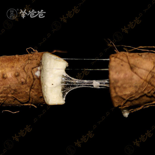 下单后72H发| 原产地发货【新鲜垆土铁棍山药】河南温县|  细腻粉糯 当属怀山药 新鲜现挖 商品图7