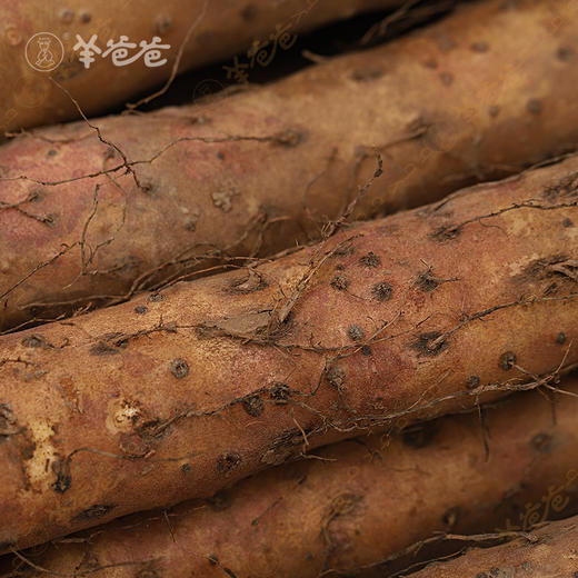 下单后72H发| 原产地发货【新鲜垆土铁棍山药】河南温县|  细腻粉糯 当属怀山药 新鲜现挖 商品图4