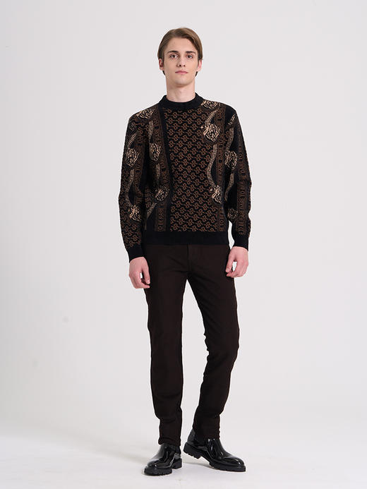 威雅/RARE 黑咖提花雪尼尔圆领毛衣男士长袖毛衫 商品图3