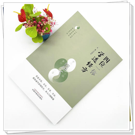 四位一体学透经方 司国民 主编 中国中医药出版社 商品图1