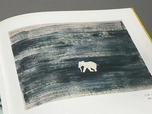 《常玉画集》，常玉绘画，8开,精装，带函套，132页，全彩精印，历史博物馆1995年10月初版。售价480元。 商品图9