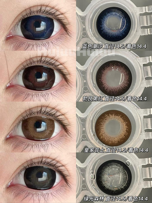 【实拍大直径】皇家系列-偏大着色-直径14.5mm/ 着色14.4mm 【年抛 度数0-1000度 无525/575 】 商品图0