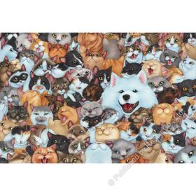 小黑在哪儿？/1008片