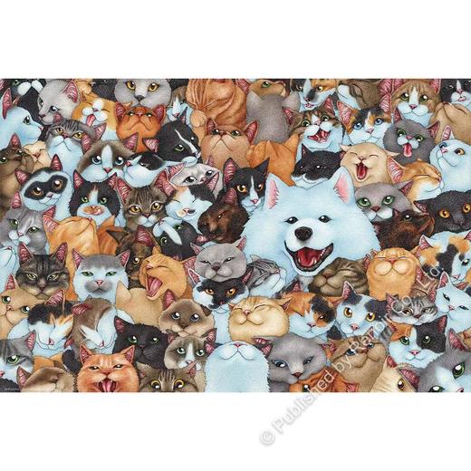 小黑在哪儿？/1008片 商品图0