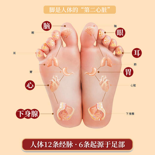 【秋冬特惠款二十四味草本足浴包】白云山星群足浴包 真材实料不打粉 无需熬煮，一泡即开 深层刺激穴位，促进血液循环 商品图2