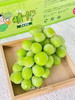 匠心极晴王葡萄，青提中的爱马仕，集清香，果香，花香宠爱于一身 商品缩略图1