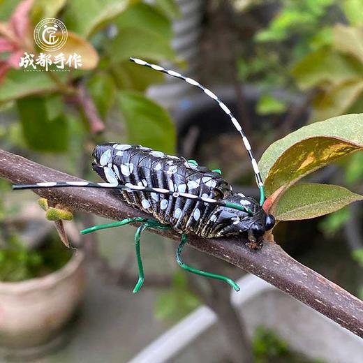 成都手作棕编工艺昆虫摆件 四川非遗技艺手工编织特色工艺品 商品图4