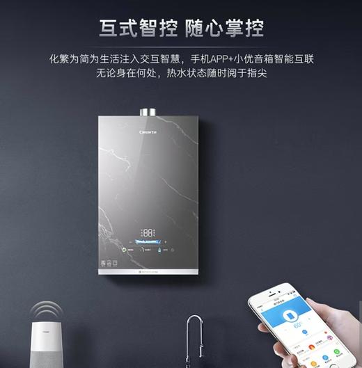 卡萨帝/燃气热水器/JSQ31-16CN5FTXGU1 商品图0