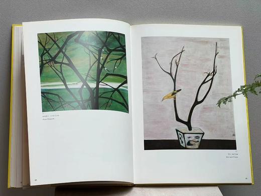 《常玉画集》，常玉绘画，8开,精装，带函套，132页，全彩精印，历史博物馆1995年10月初版。售价480元。 商品图12