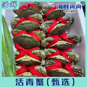 活青蟹（公，母）【死了包赔】
