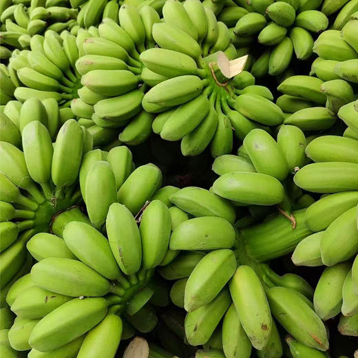 苹果蕉 口感脆脆绵绵  又有些软软的   糯甜口感   圆胖身材    肉质丰富  面糯可口 细腻爽滑  一吃根本停不下来 商品图2