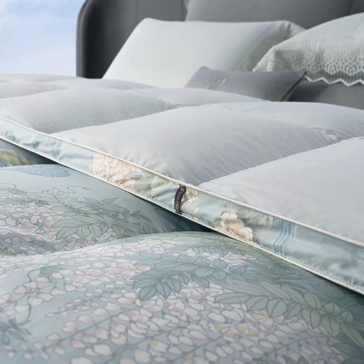 whinny/惠谊波兰进口绒95%绒繁花蓬松保暖鹅绒春秋被冬被羽绒被 商品图4