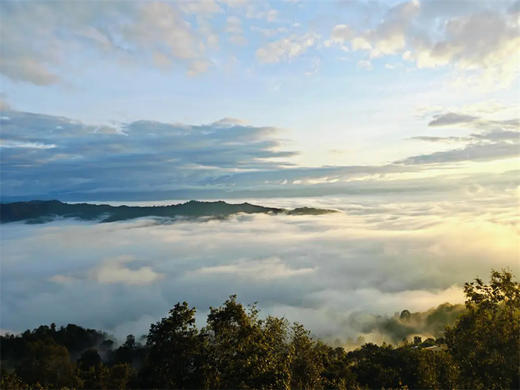 【西双版纳古村古寨，热带雨林6天5晚】一起打卡《边水往事》取景地，深度探索云南少数民族风情 商品图9