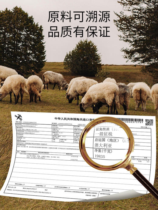 佳丽斯羊毛被子冬被加厚澳洲天然冬季柔软家用10斤棉被秋冬款过冬 商品图1