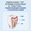 买牙膏送牙刷！多买多送！【KEVIN & KATHY®凯文凯茜  英国牙釉质护理牙膏】英国品牌，100G一只，修护牙釉质，固基强齿，清新口气！ 商品缩略图2