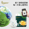 柔丫小金裤系列尿不湿 医护级尿裤 山茶油精华远离红PP 商品缩略图3