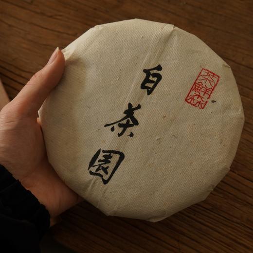 周五秒杀| 蟒蛇箐 白茶园 易武小高杆 青龙潭 普洱茶 生茶 200g/饼 商品图1