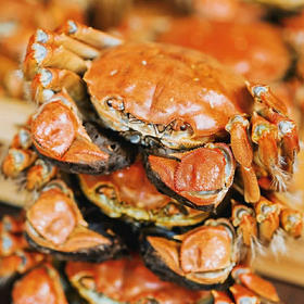 【顺丰空运】鄱阳湖九江大闸蟹 精品母蟹公蟹礼盒装