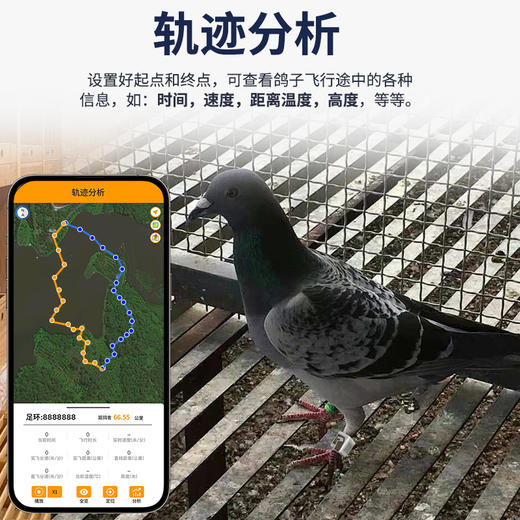 品宁大鸽大鸽子定位器防丢失GPS北斗鹦鹉追踪器动物鸟类飞禽定位j 商品图5