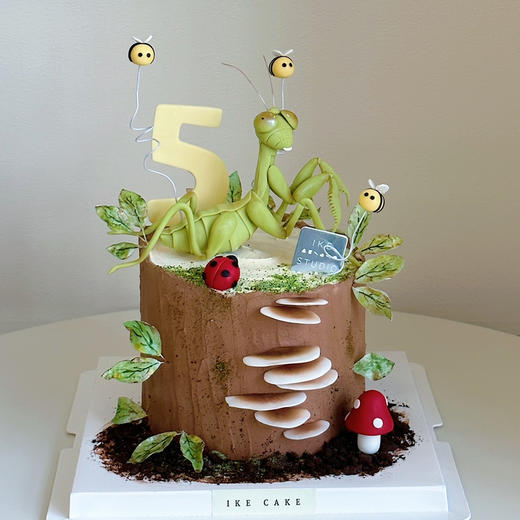 螳螂 | 昆虫蛋糕 商品图3