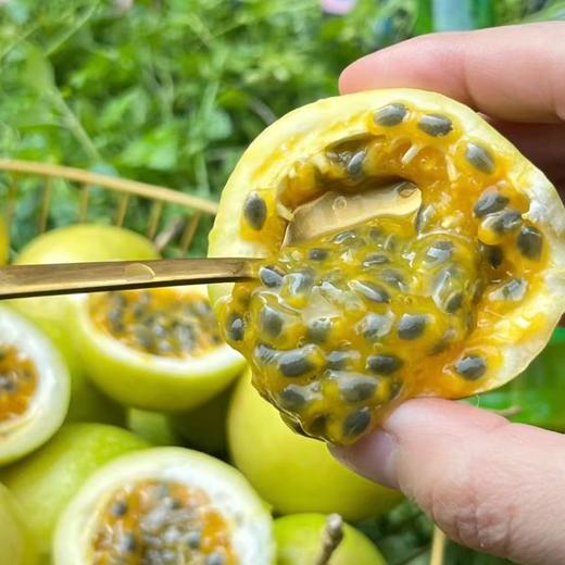 VC炸弹 百香果界天花板！【酸甜好味 可以直接吃的百香果】海南钦蜜9号黄金百香果5斤装  顺丰/京东随机发货 商品图0