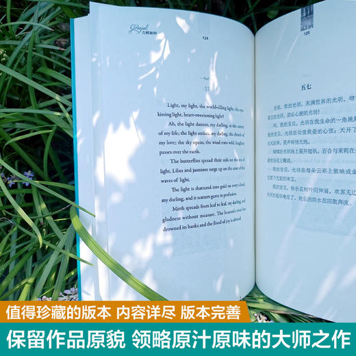 吉檀迦利 商品图2