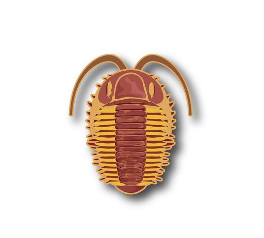 古生物冰箱贴套盒：恐龙、中华龙鸟、霸王龙... 商品图3