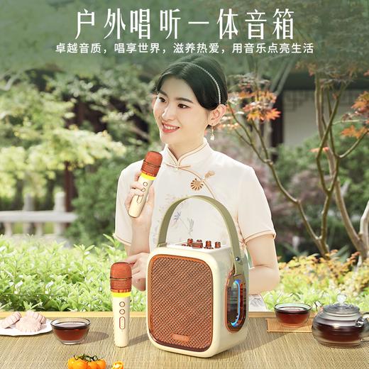 好牧人 双麦 蓝牙K歌音响 D58 商品图6