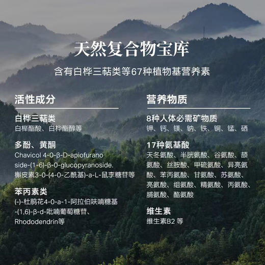 林野小铺 天然森林植物饮 浓缩白桦树汁【保质期到12月】 商品图3